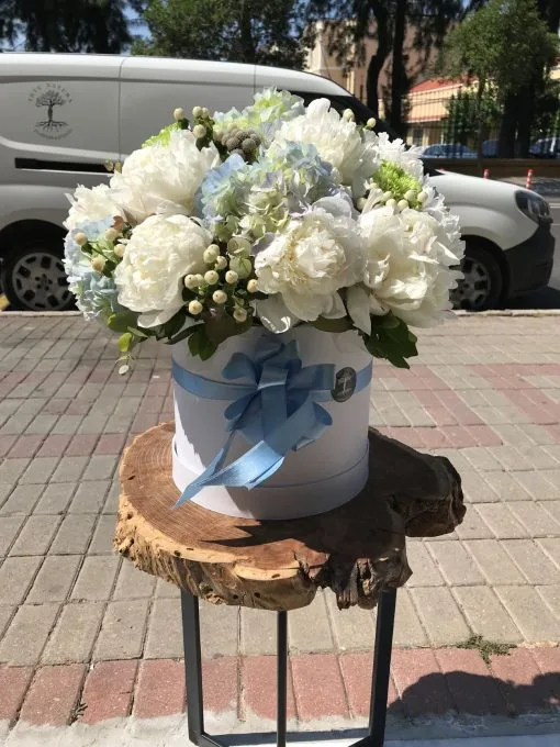 Beyaz Şakayık Aranjman